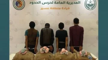 القبض على عصابة يمنيين وإثيوبيين لتهريبهم كميات حشيش وقات بجازان وعسير